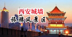 欧美骚屄喷水中国陕西-西安城墙旅游风景区